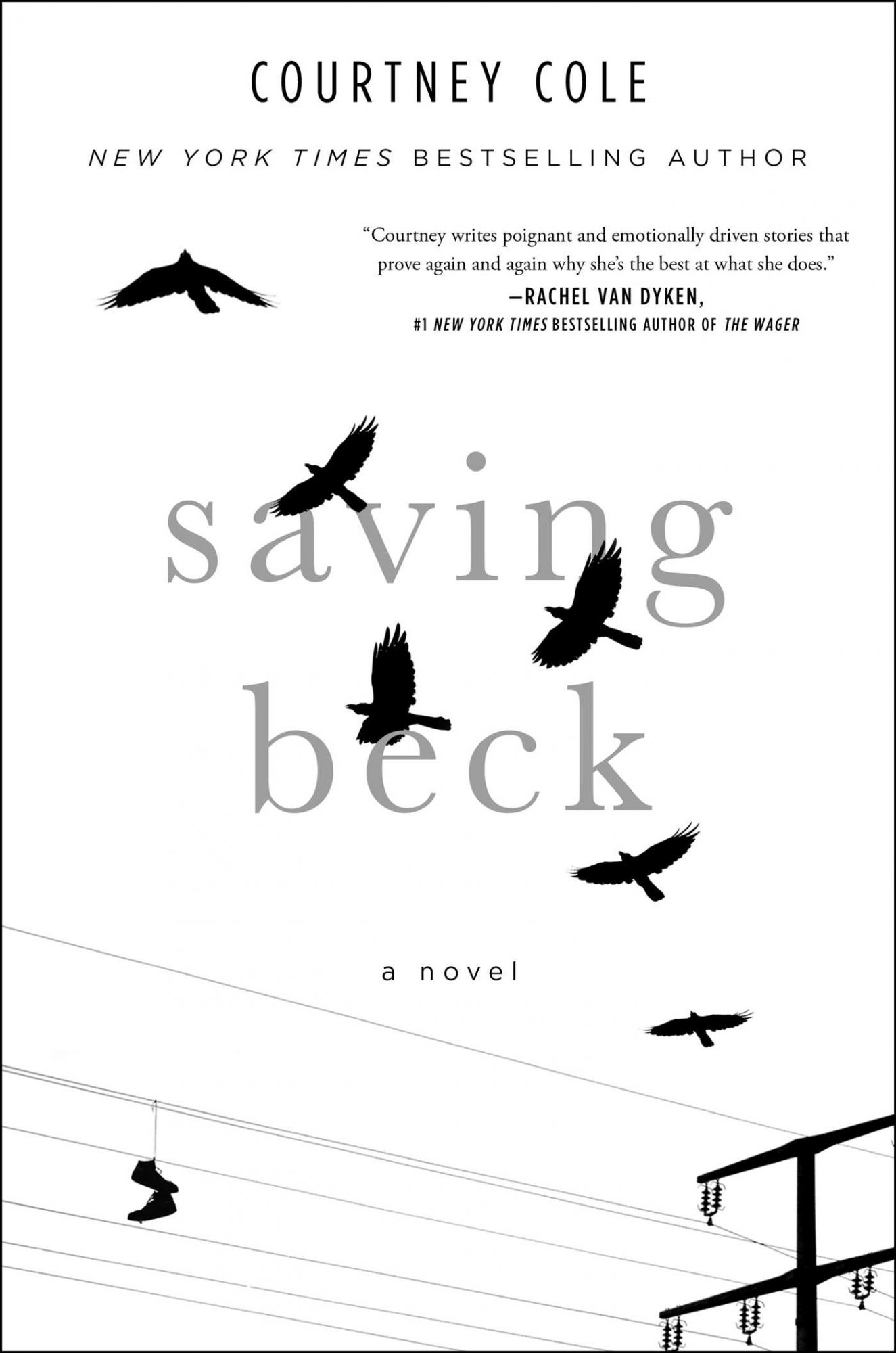picture-of-saving-beck-book-photo.jpg