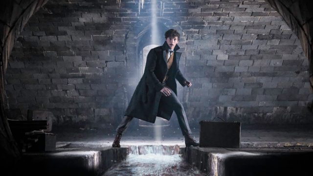 Picture of Fantastic Beasts 2 Trailer Comic-Con