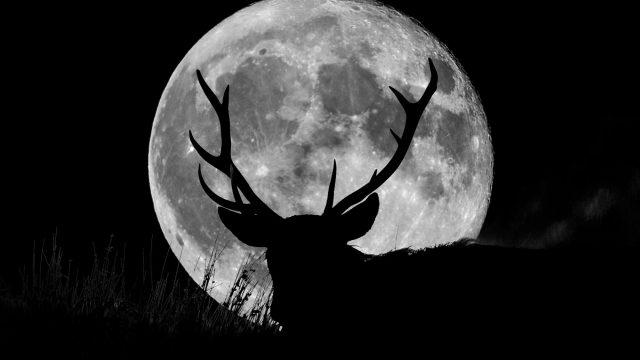 Here's How July's Full Buck Moon Will Affect Your Zodiac ...