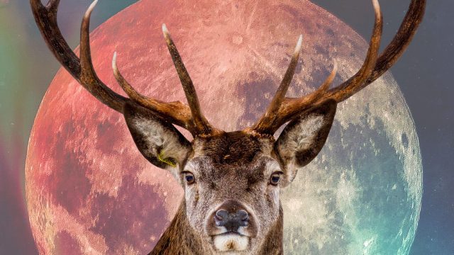 buck moon rituals
