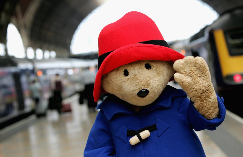 paddington bear dog outfit