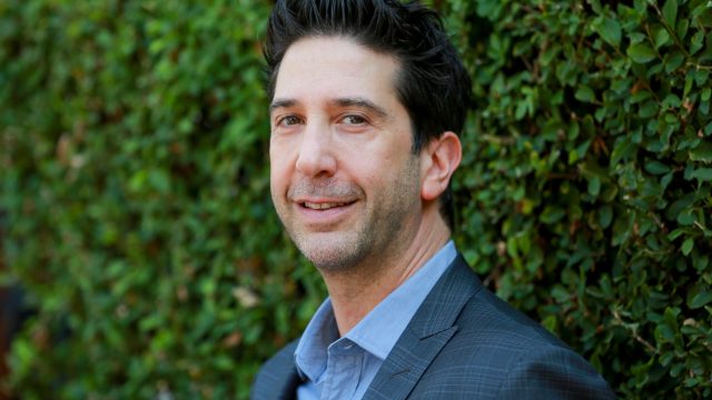 david schwimmer will and grace