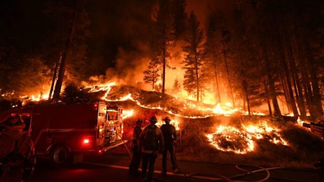 Secretary of the Interior Ryan Zinke says cutting down trees can stop wildfires.