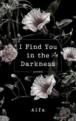 picture-of-I-find-you-in-the-darkness-book-photo