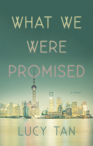 picture-of-what-we-were-promised-book-photo.jpg