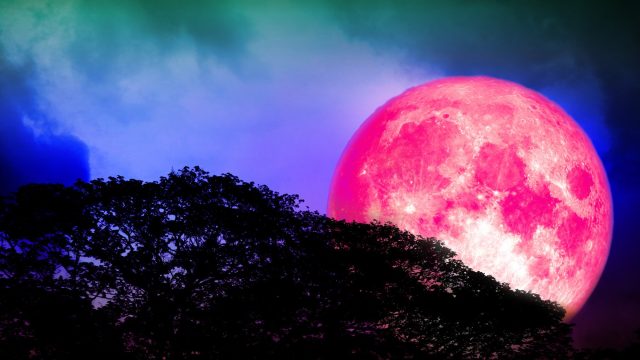 full sturgeon moon