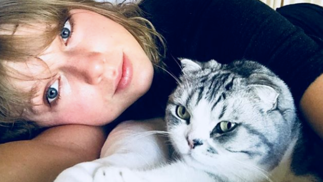 taylor swift