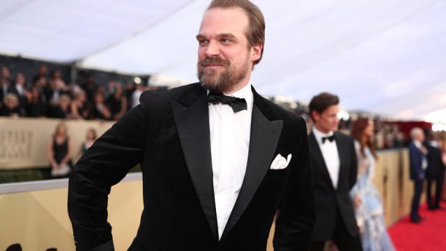 LOS ANGELES, CA - JANUARY 21: Actor David Harbour attends the 24th Annual Screen Actors Guild Awards at The Shrine Auditorium on January 21, 2018 in Los Angeles,