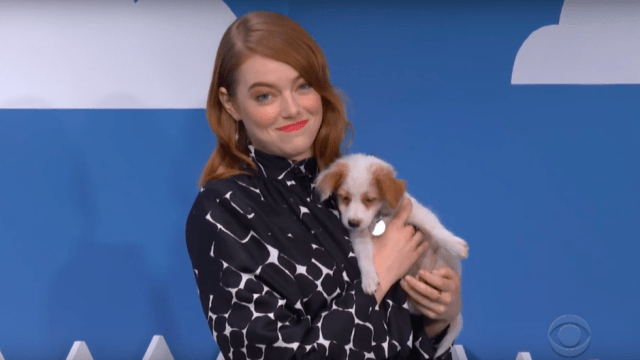 emma stone dog