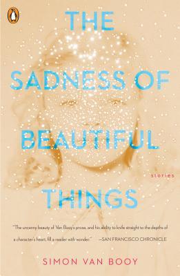 picture-of-the-sadness-of-beautiful-things-book-photo