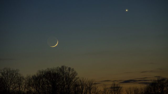 venus retrograde
