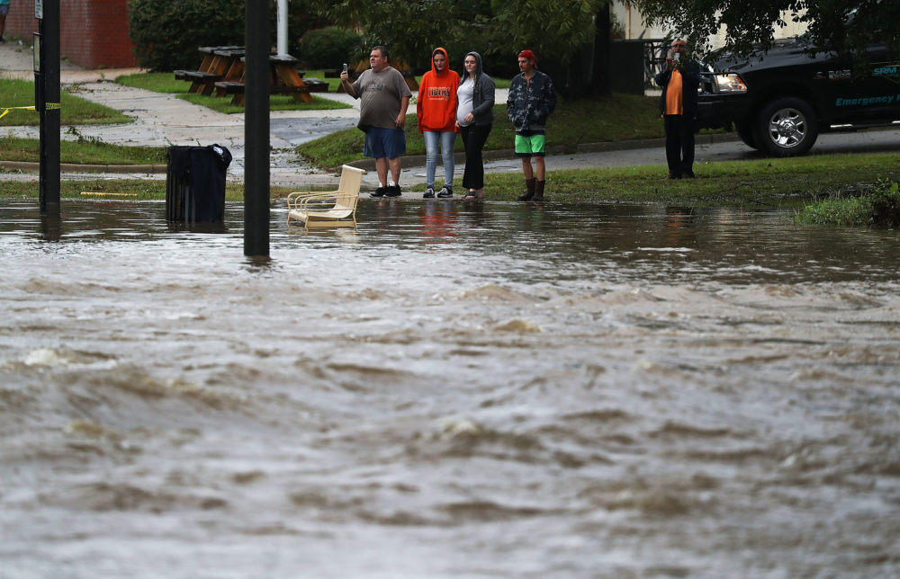 Hurricane Michael: Everything You Need To Know About The StormHelloGiggles