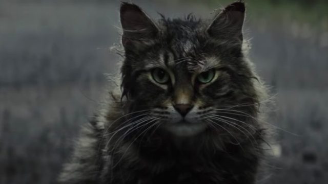 Pet Sematary