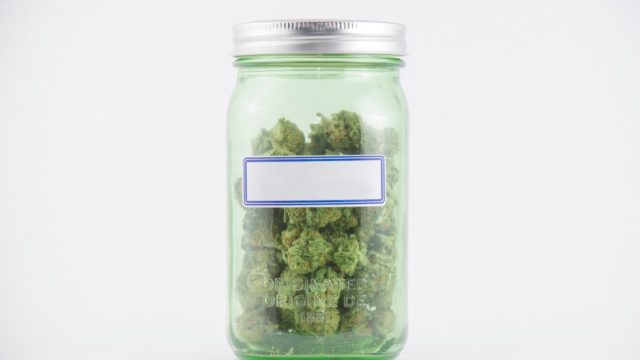 Detail of cannabis buds on green glass jar with blank label isolated on white - medical marijuana concept