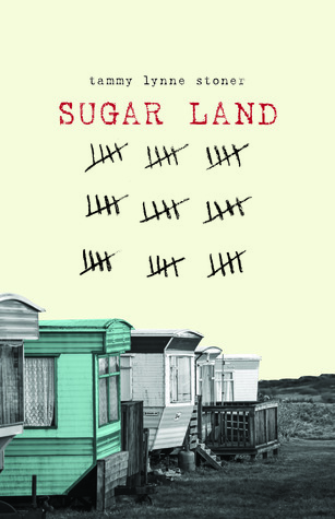 picture-of-sugar-land-book-photo
