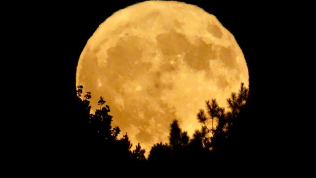 full hunter's moon