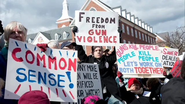 gun control