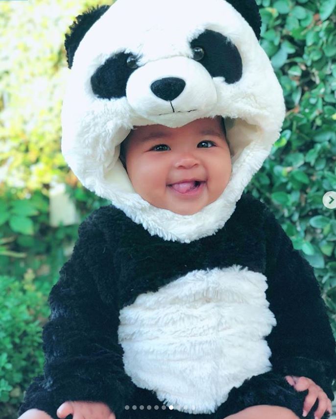 true-panda-bear.jpg