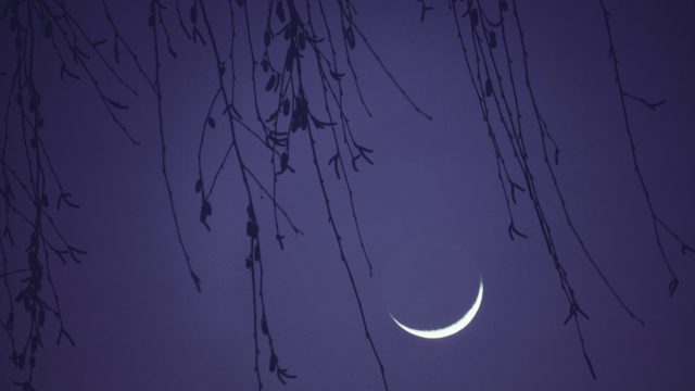 new moon in scorpio
