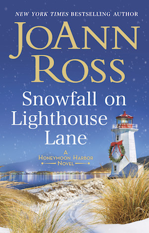 picture-of-snowfall-on-lightouse-lane-book-photo
