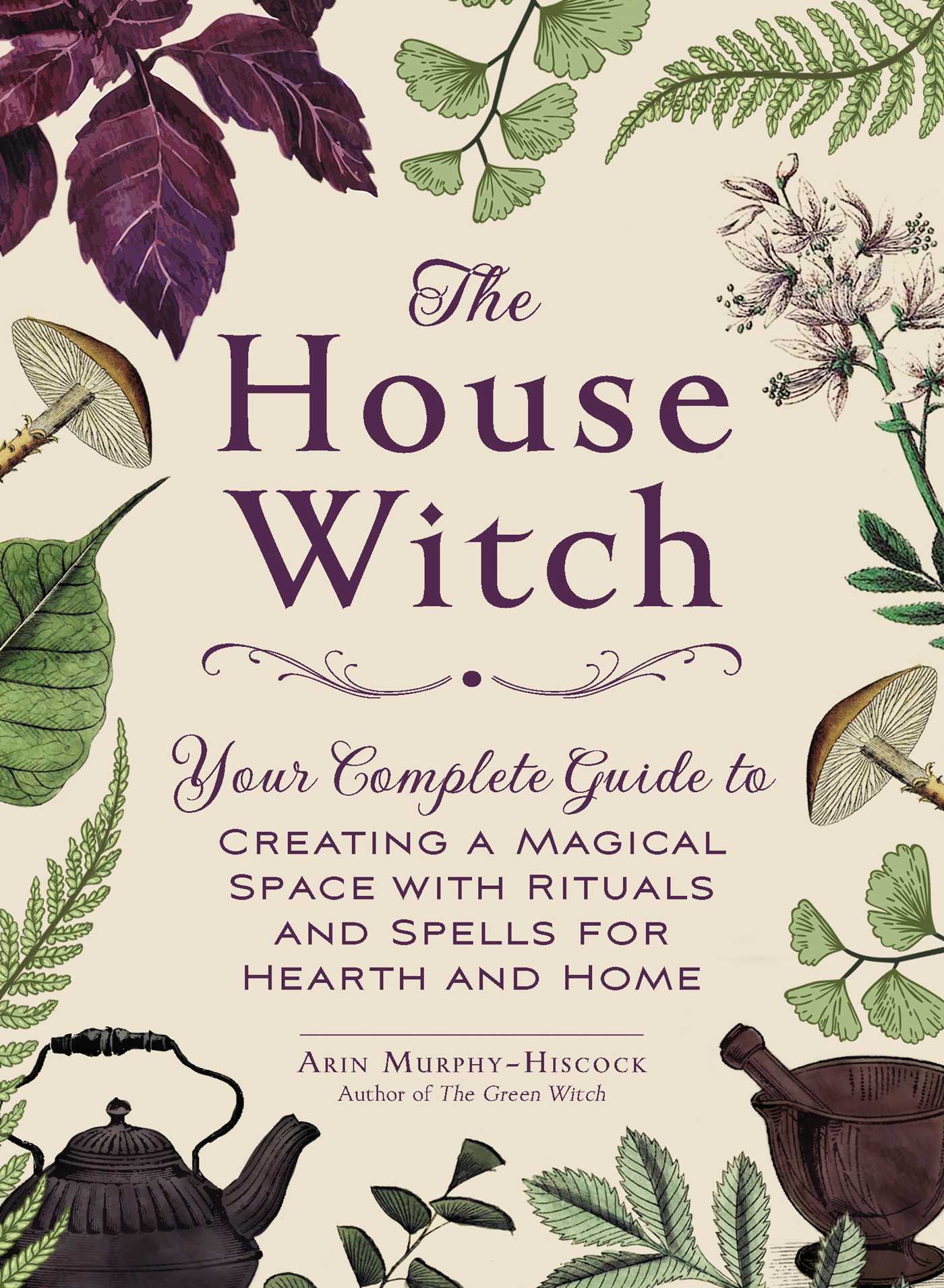 picture-of-the-house-witch-book-photo