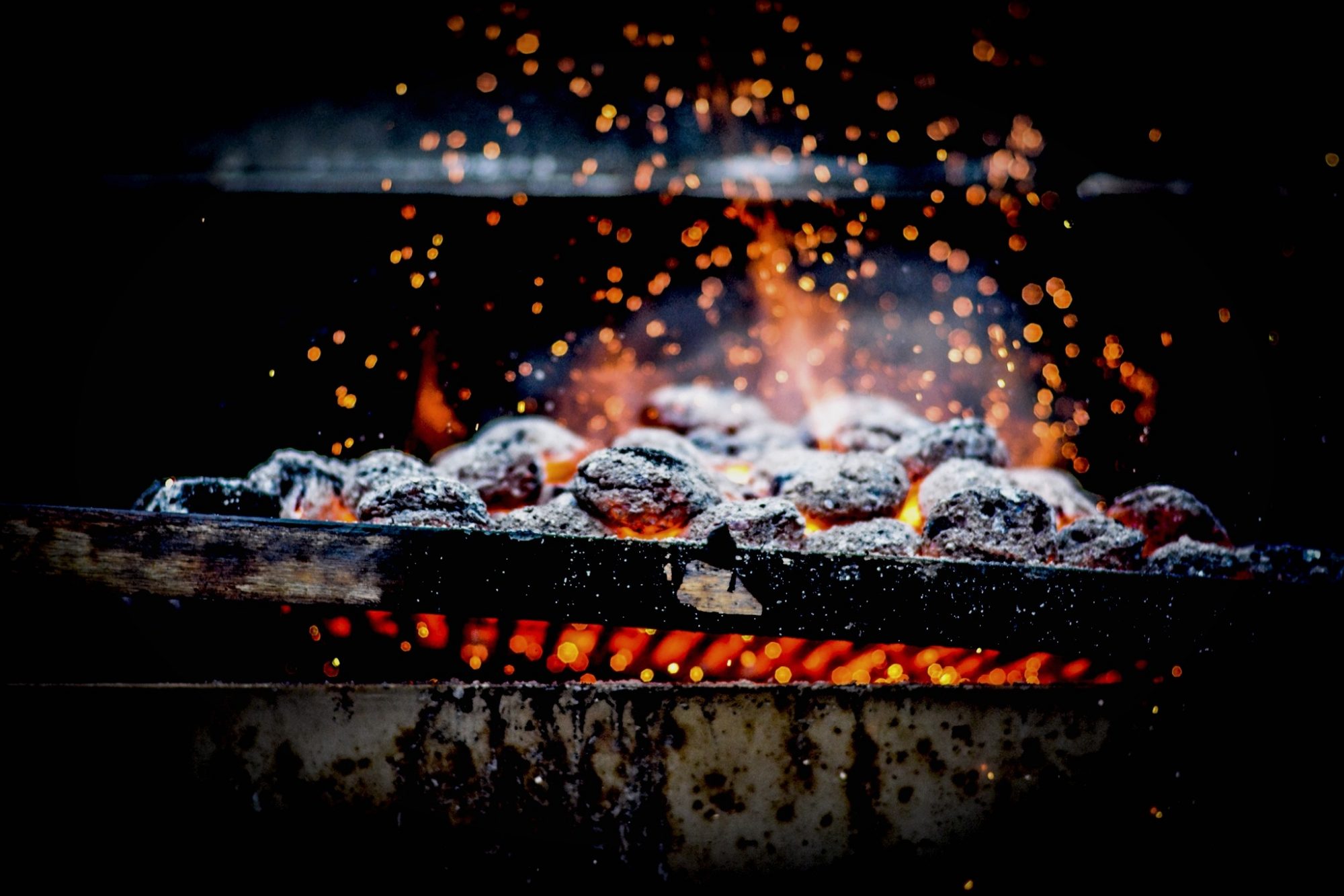 heat-samin-nosrat.jpg