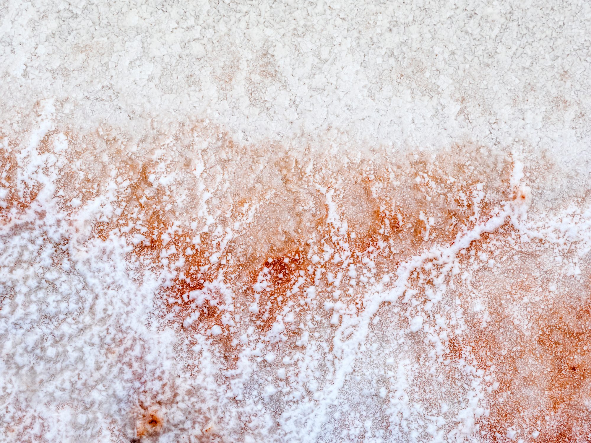 salt-samin-nosrat.jpg