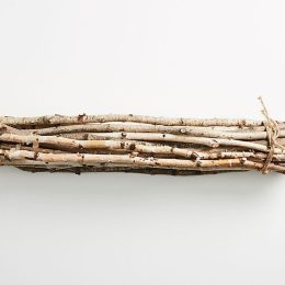 anthropologie twigs