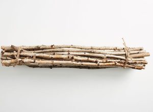 anthropologie twigs
