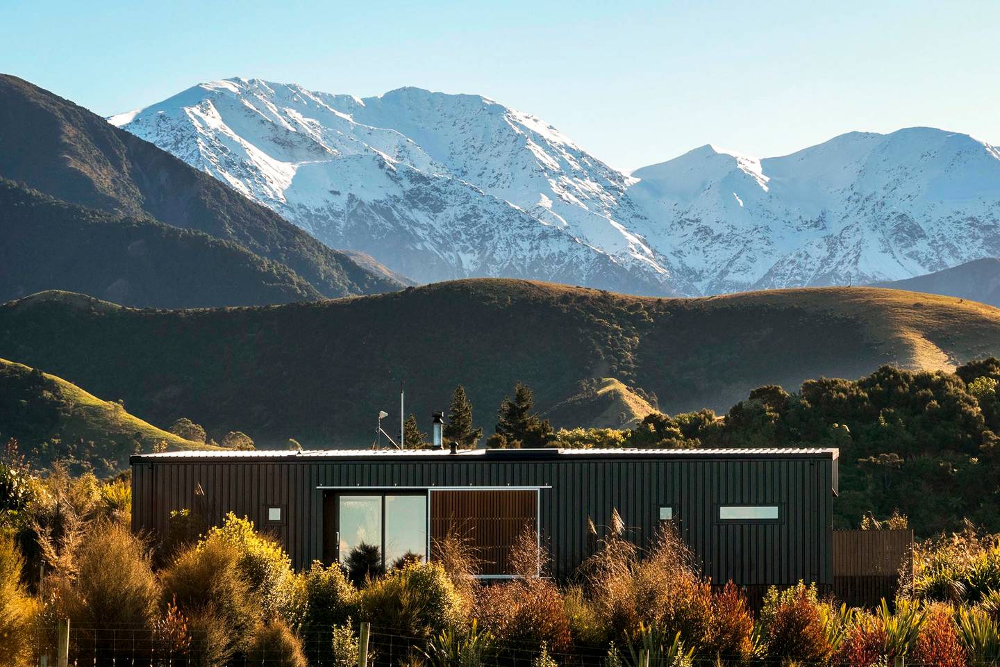 nz.jpg