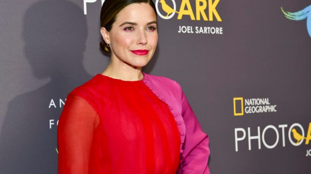 Sophia Bush