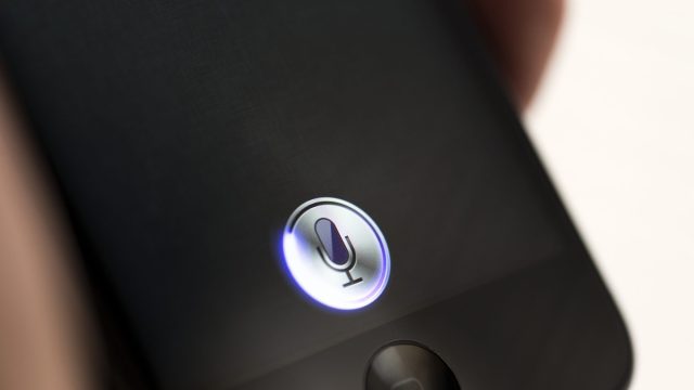 Picture of Siri Impression