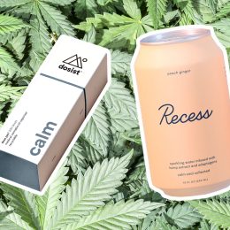 cbd products that are hellogiggles approved