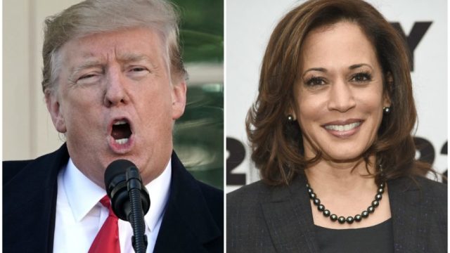 donald trump and kamala harris