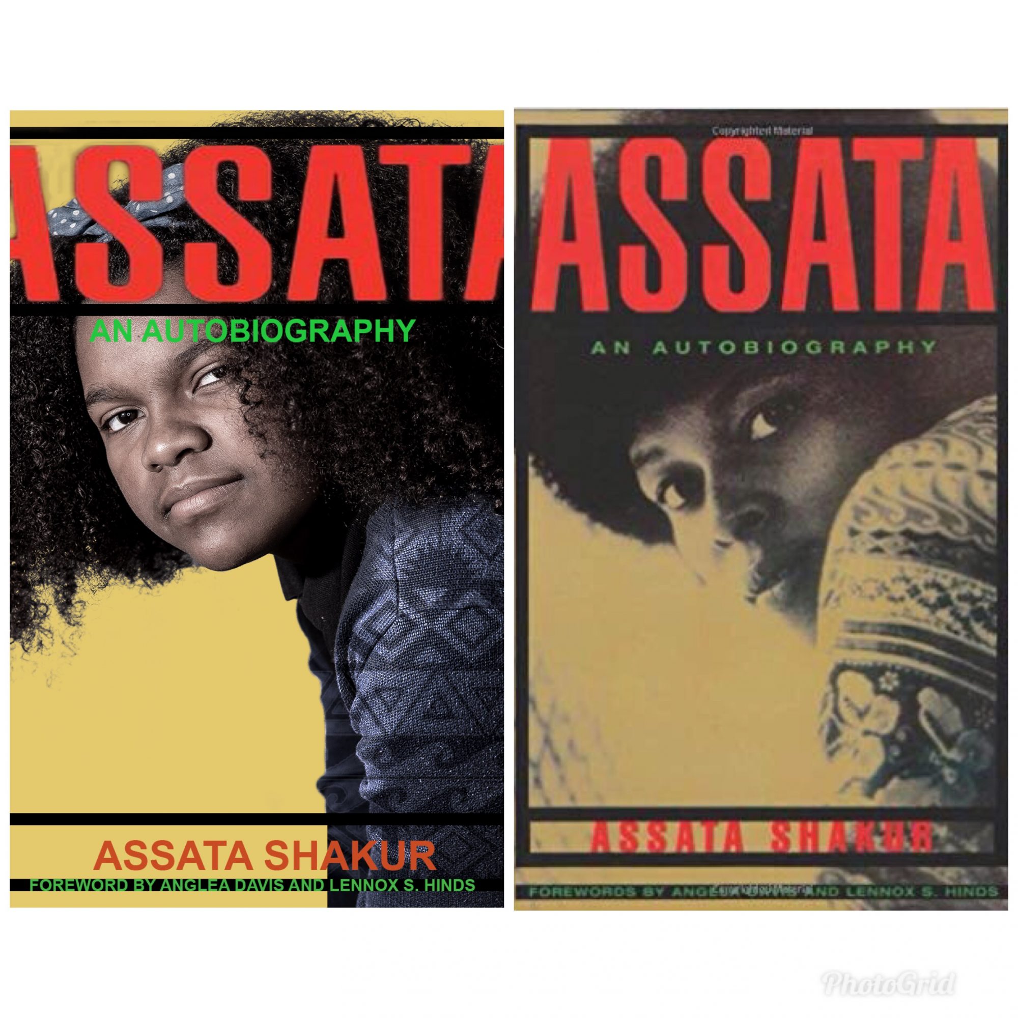 Students Recreate Black Book Covers For Black History MonthHelloGiggles