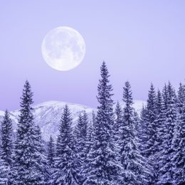 full snow moon