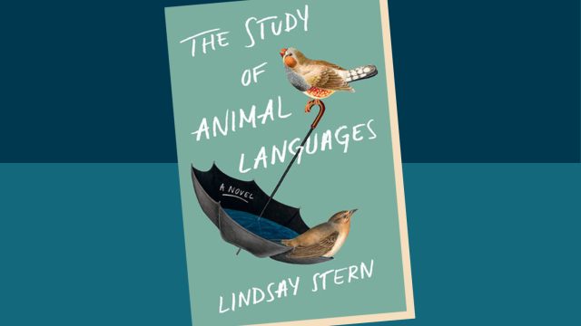 Picture of The Study of Animal Languages Lindsay Stern Interview
