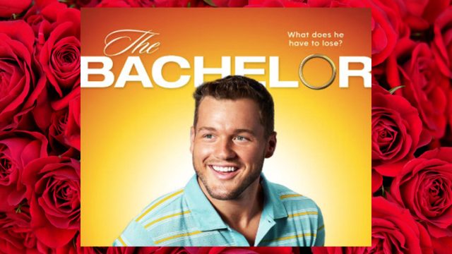 The Bachelor promo image on rose background