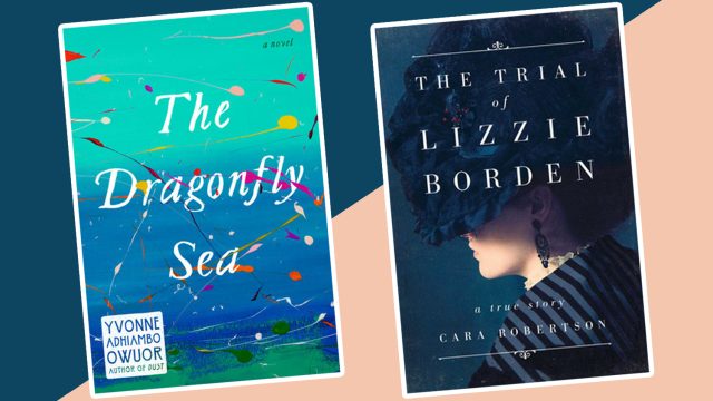 picture-of-best-new-books-the-dragonfly-sea-photo