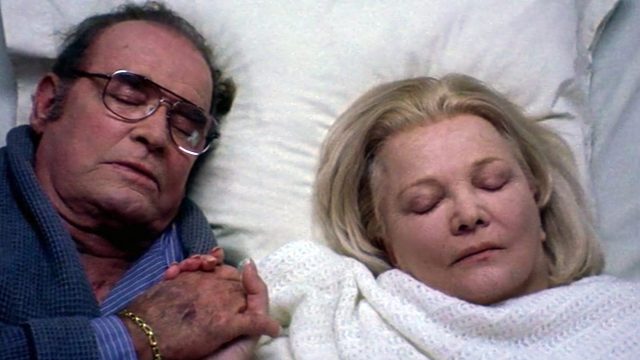 allie and noah die together in the notebook