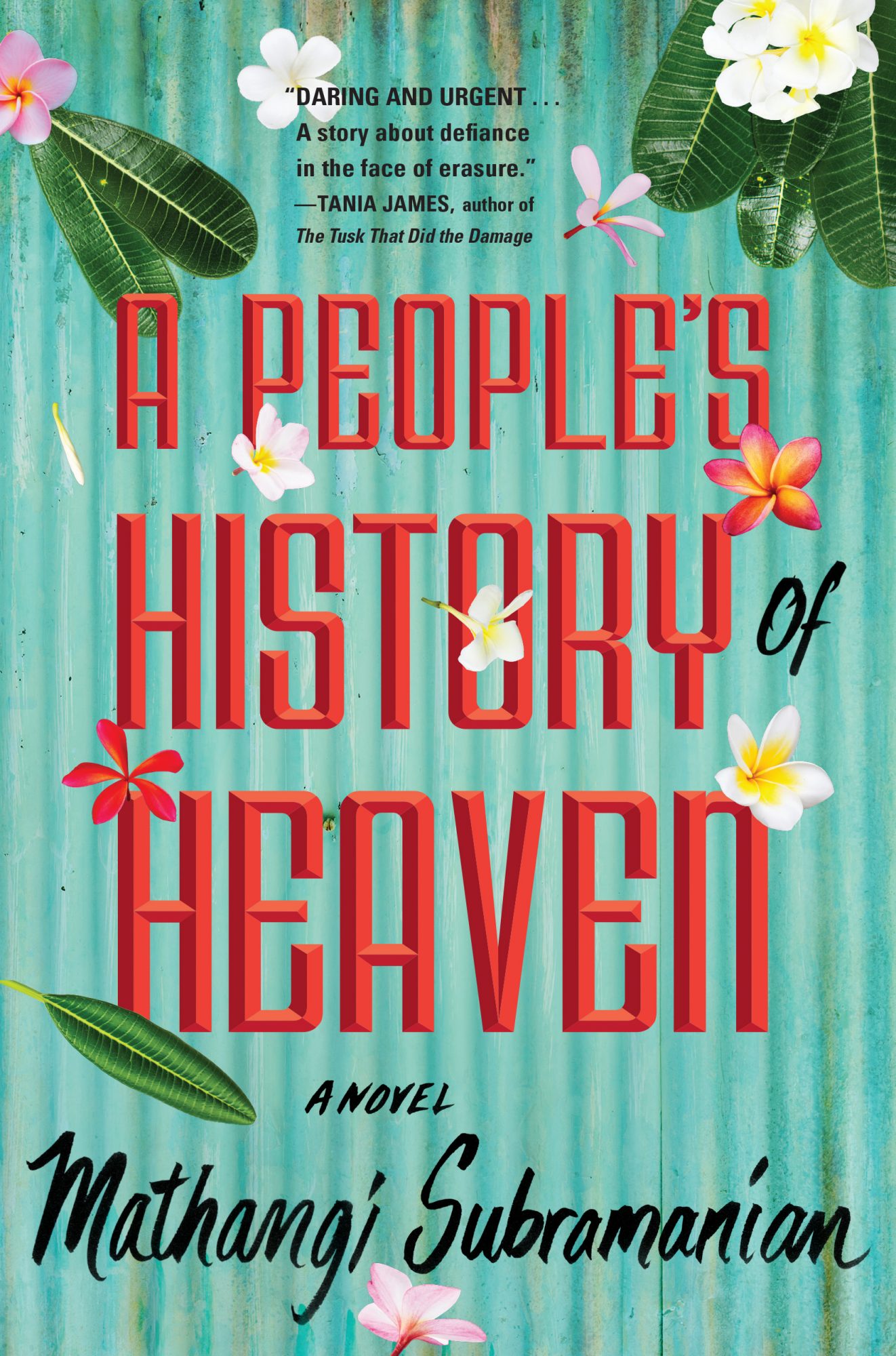 picture-of-a-peoples-history-of-heaven-book-photo
