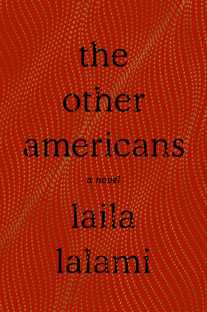 picture-of-the-other-americans-book-photo