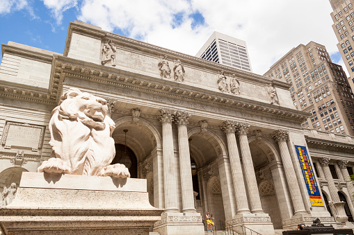 nypl.jpg