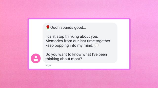 texting with slutbot