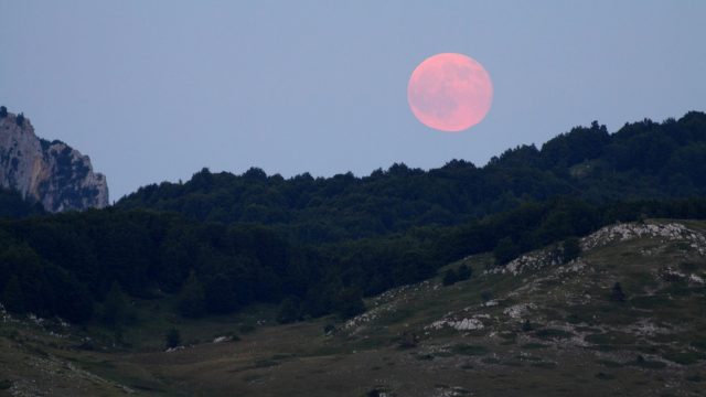 full pink moon