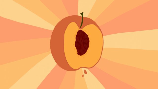 juicy peach illustration