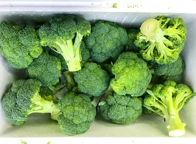 broccoli.jpg