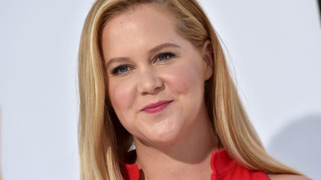 Picture of Amy Schumer Back to Work
