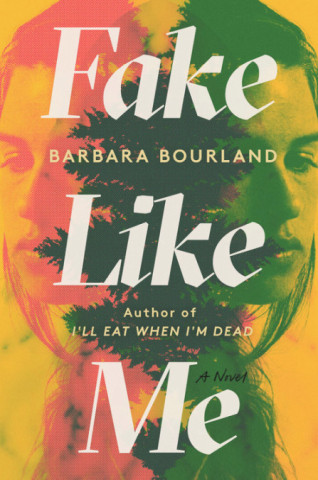Fake Like Me book cover