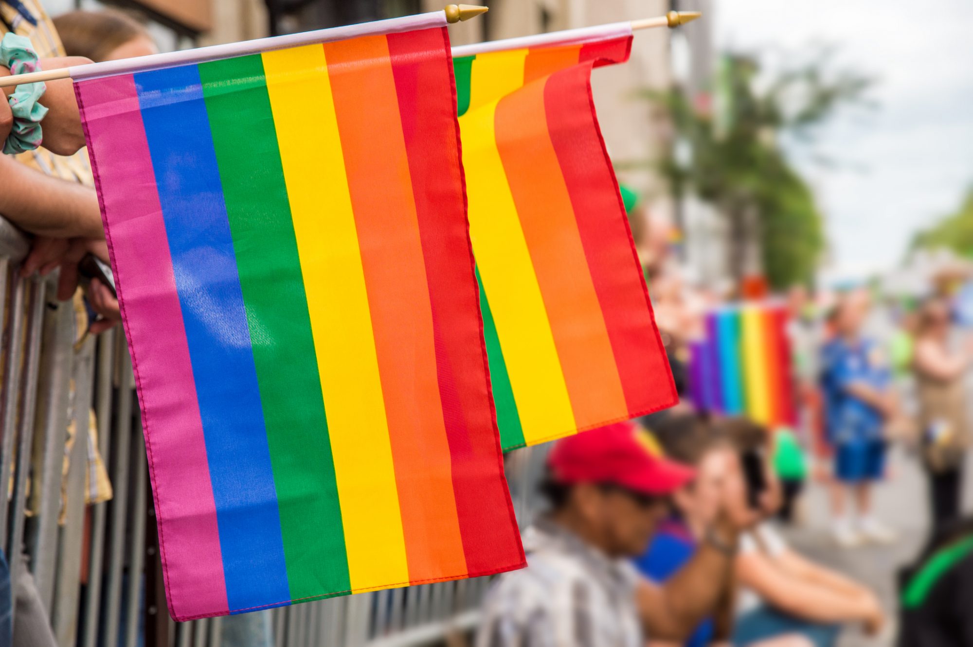 queer-flags.jpg